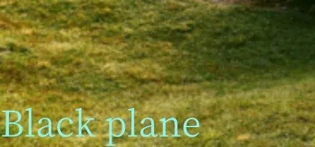 Poster Black plane