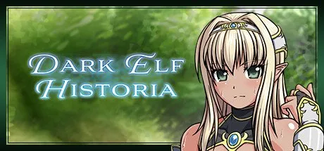 Poster Dark Elf Historia