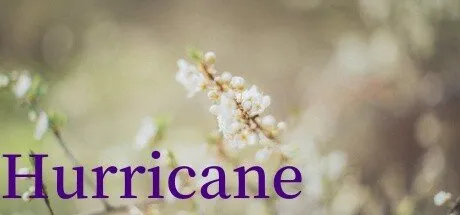 Poster Hurricane