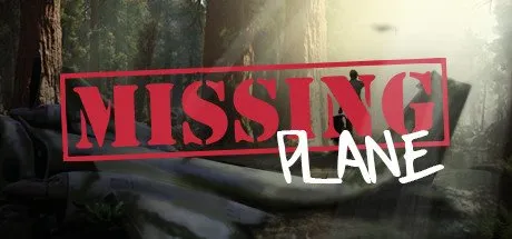 Poster Missing Plane: Survival