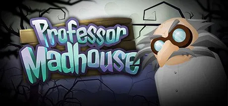 Poster Professor Madhouse