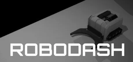 Poster Robodash