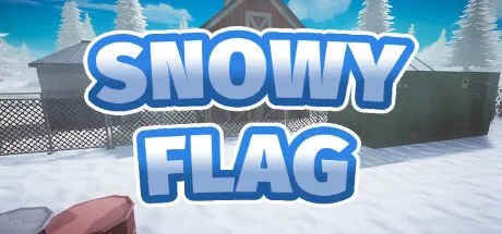 Poster Snowy Flag