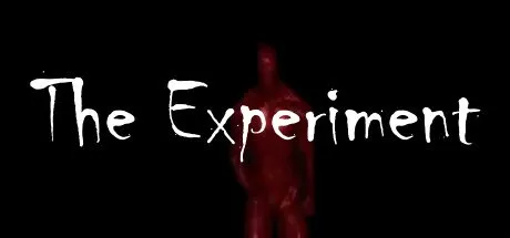 Poster The Experiment