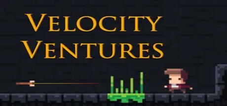 Poster Velocity Ventures